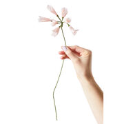 Pink African Lily paper flower